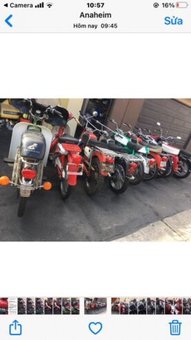 MOPEDS
